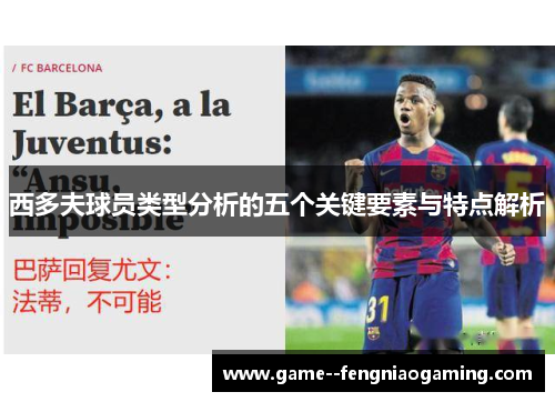 西多夫球员类型分析的五个关键要素与特点解析