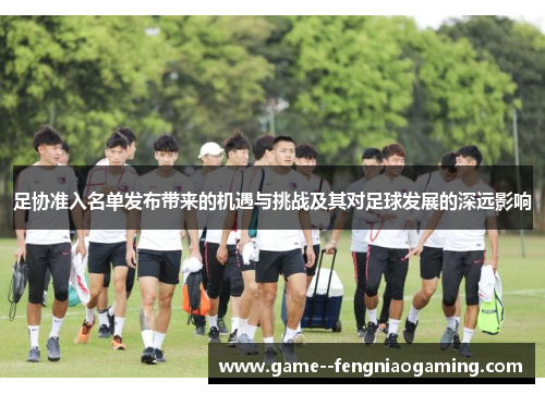 足协准入名单发布带来的机遇与挑战及其对足球发展的深远影响 足协准入名单发布带来的机遇与挑战及其对足球发展的深远影响
