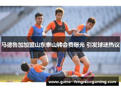 马德鲁加加盟山东泰山转会费曝光 引发球迷热议