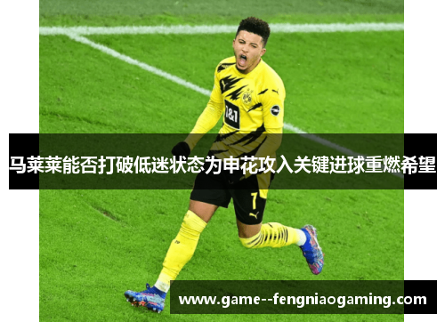 马莱莱能否打破低迷状态为申花攻入关键进球重燃希望
