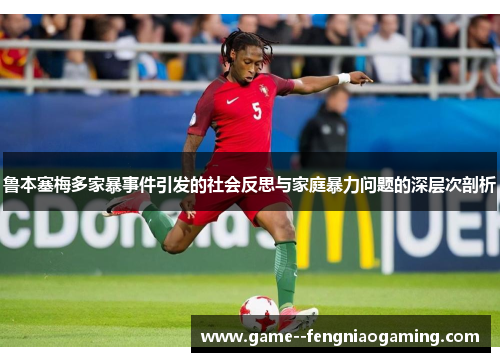 鲁本塞梅多家暴事件引发的社会反思与家庭暴力问题的深层次剖析